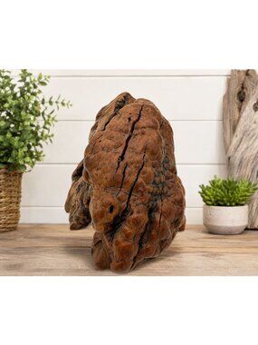 Natural Wood Burl Sculpture Tabletop Display Rustic Decor Accent Piece 6" Tall X